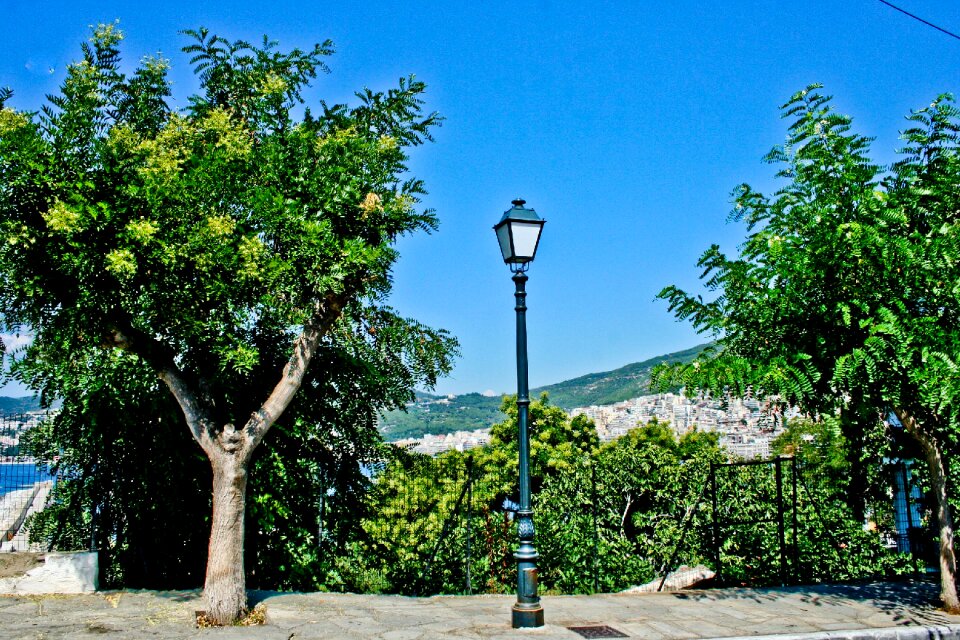 Street street view