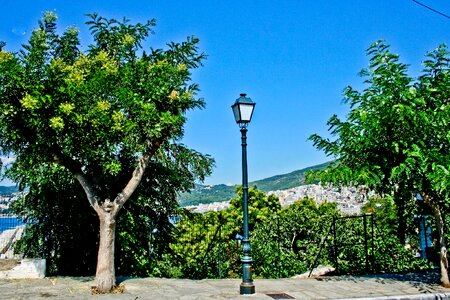 Street street view