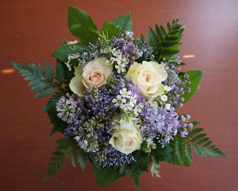 Flowers lilac harsokukka