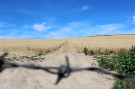 Rural field nature photo