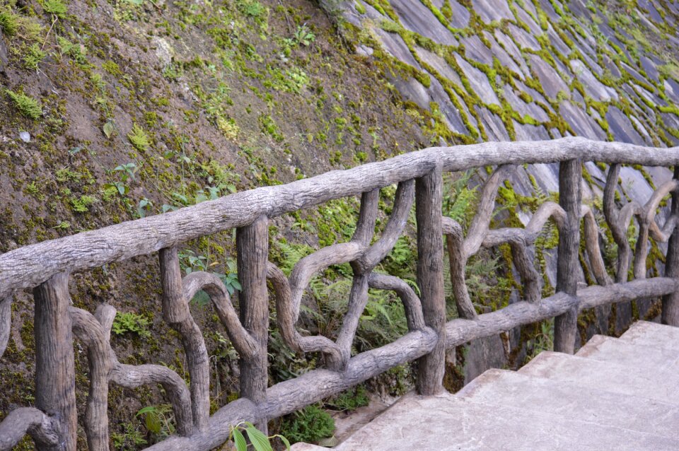 Stairs branches design