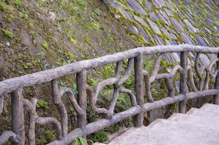 Stairs branches design