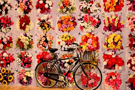 Red yellow floral