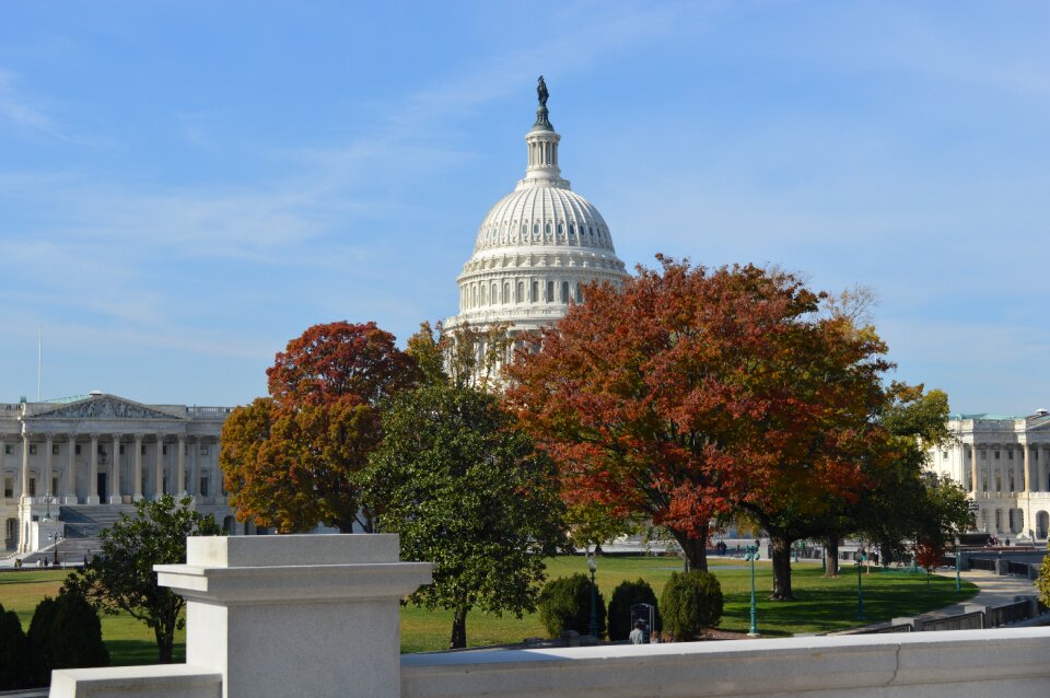Washington d c autumn