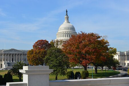 Washington d c autumn photo