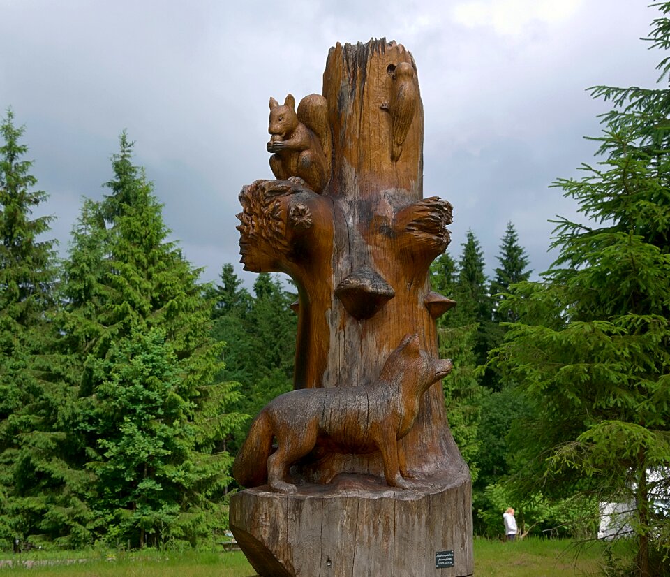 Wood wood carving forest