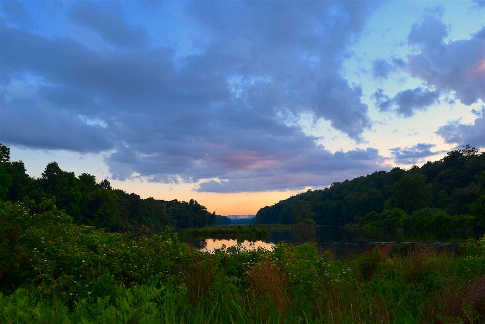 Field nature landscape