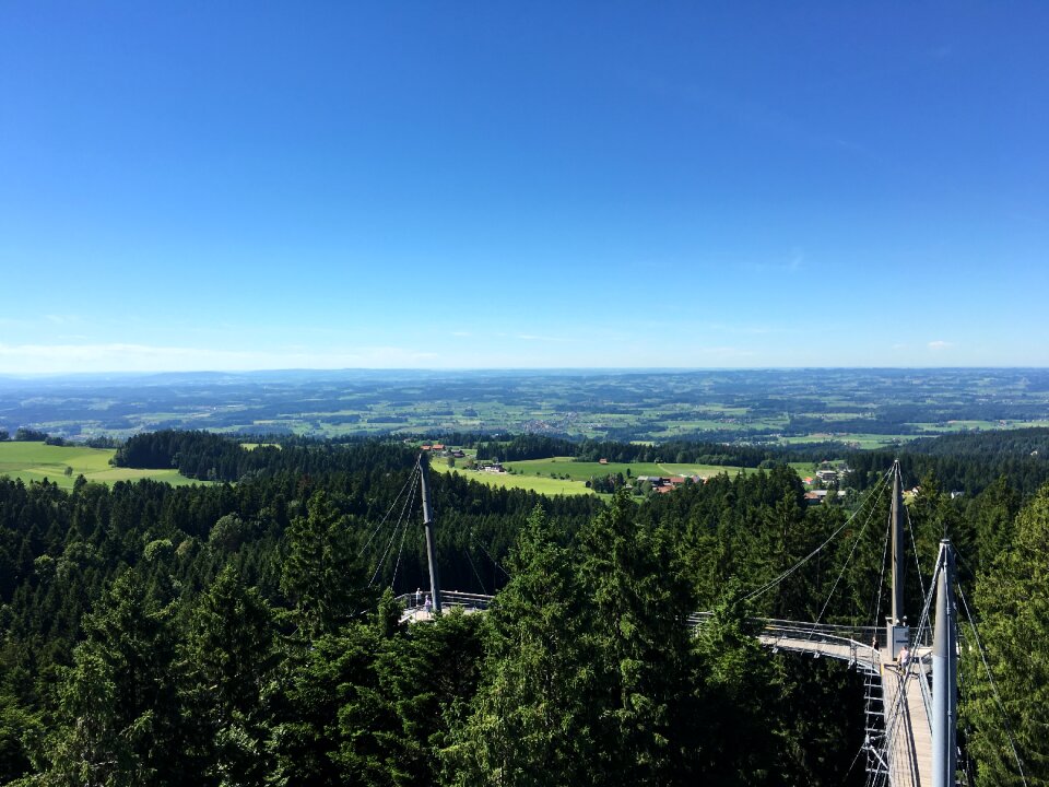 Treetop walk germany tourism