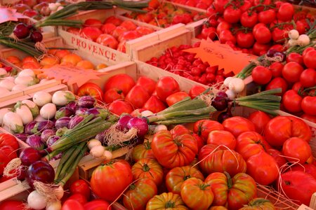 Provence vaucluse tomato red