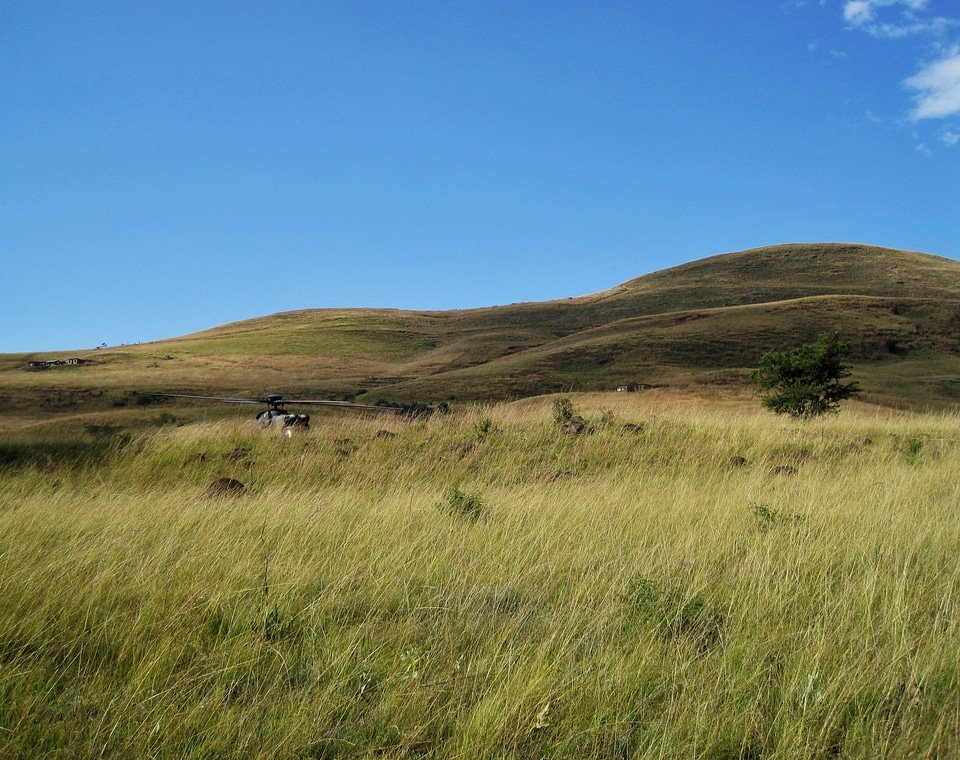 Grass sky landscape