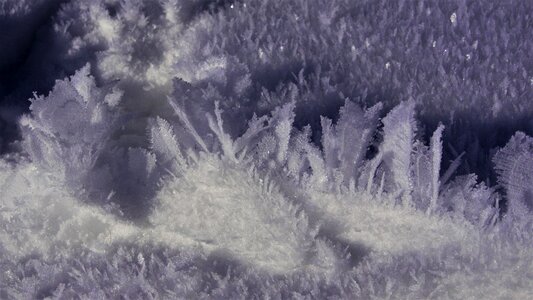 Frozen cold frosty photo