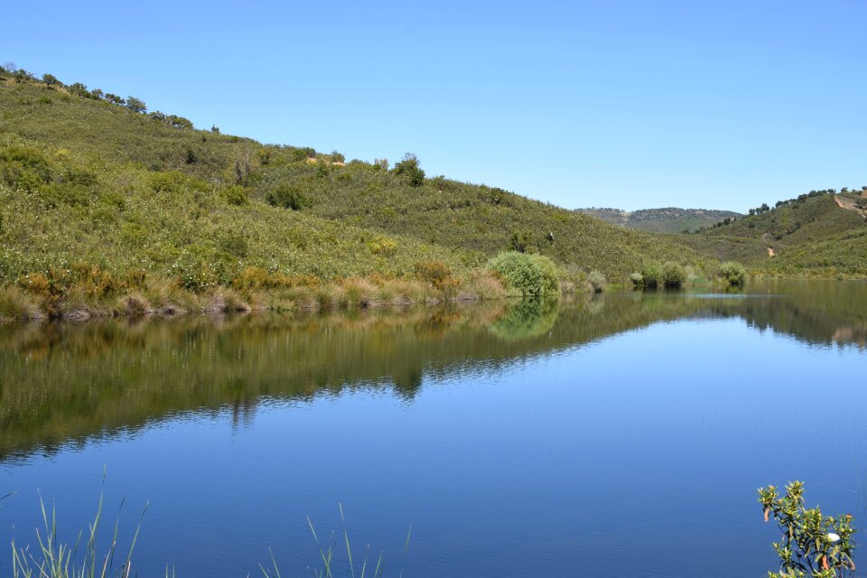 Lake water landscape