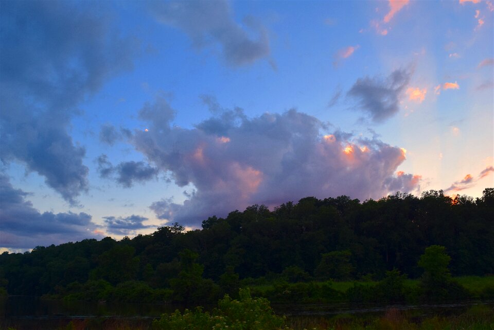 Field nature landscape