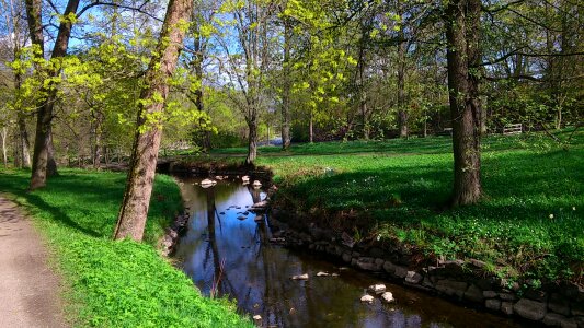 Nature city park brook photo