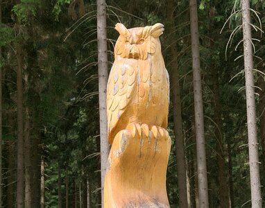 Owl wood carving nature photo