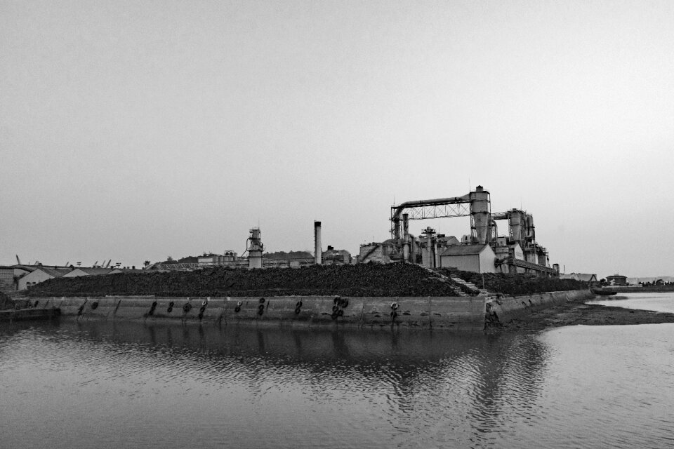Black and white factory muzzle