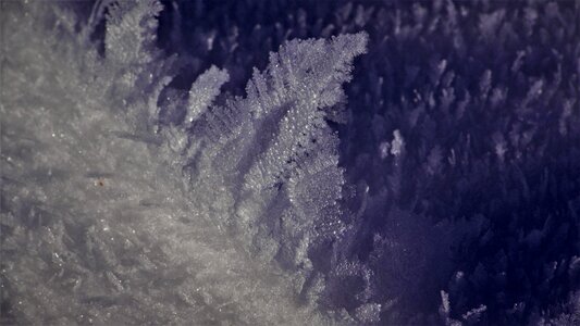 Frozen cold frosty