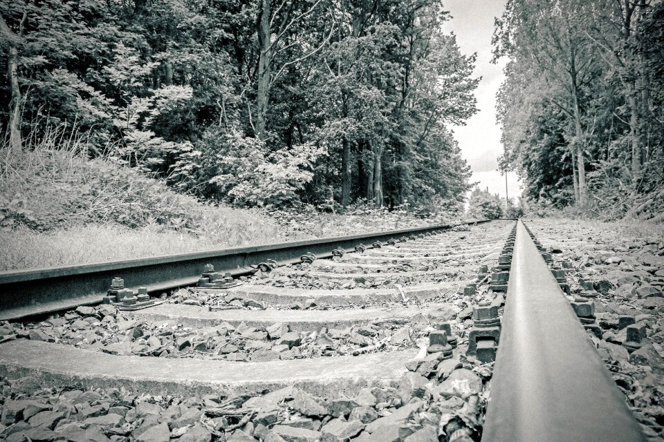 Transport track locomotive