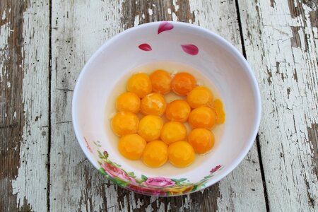 Eggs yolks the egg yolks in a bowl photo