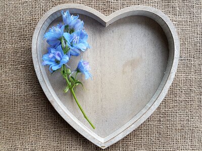 Flowers decoupage love