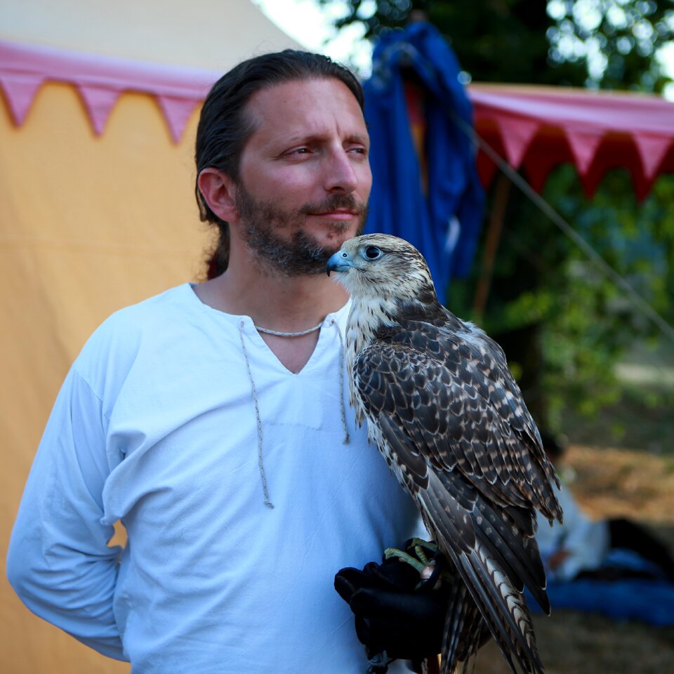 Animals predator falconer
