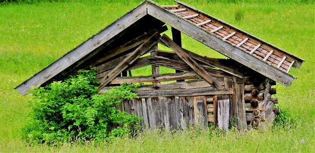 Log cabin hut woodhouse photo