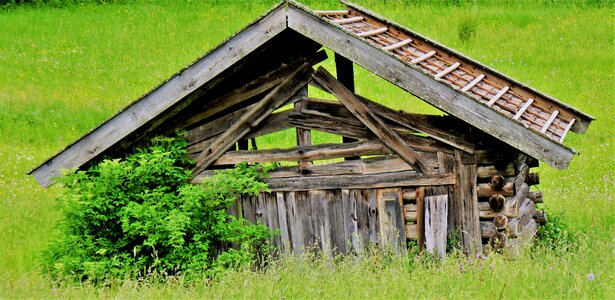 Log cabin hut woodhouse