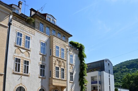 Ivy entwine house