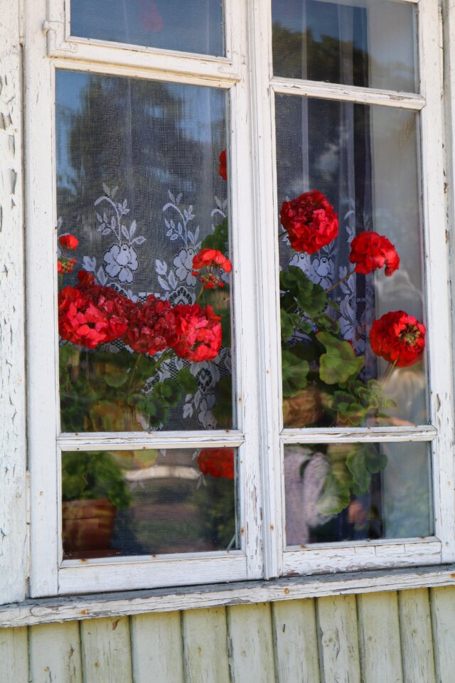 Window trakai lithuania