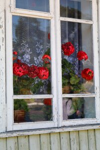 Window trakai lithuania