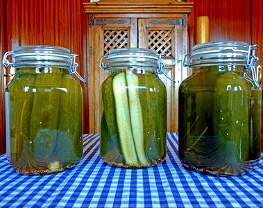 Canning dill food photo