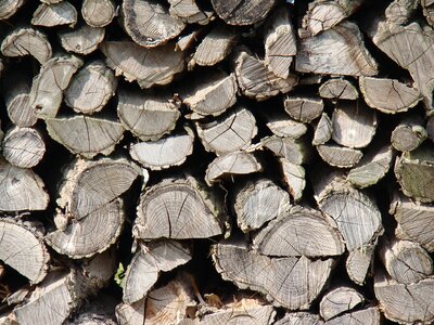 Lumberjack firewood stacked up photo
