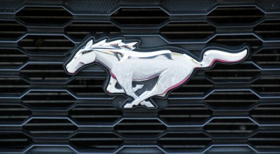 Ford logo mustang gt