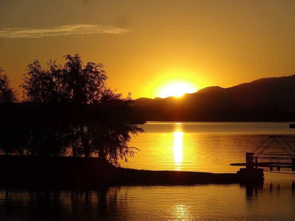 Nature sun summer