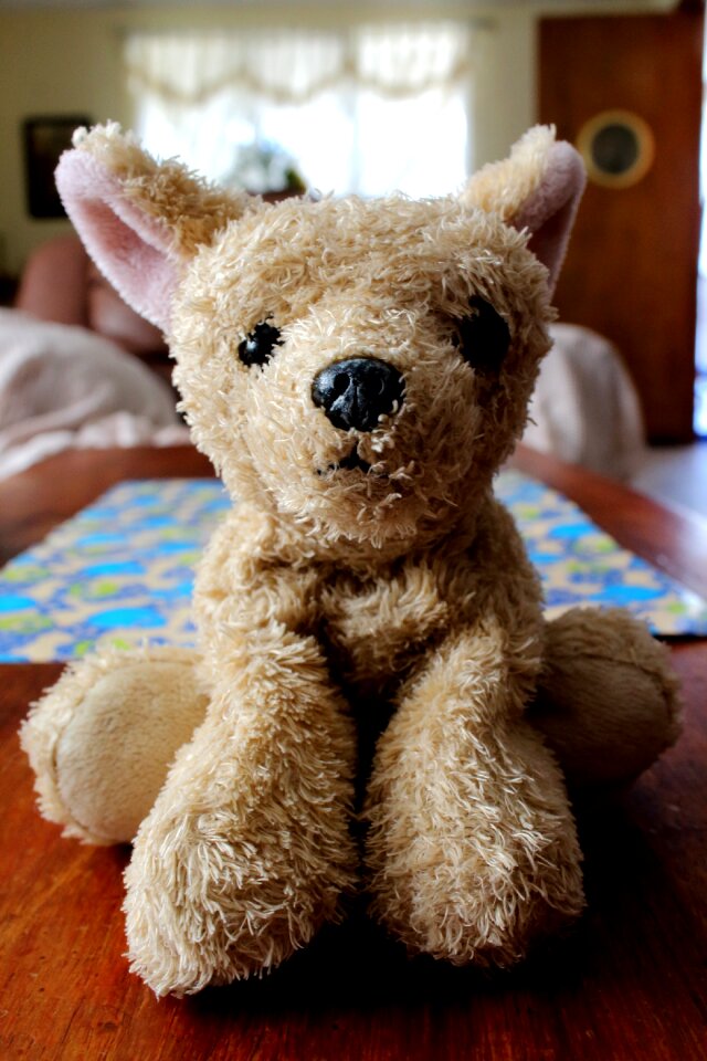 Children child teddy