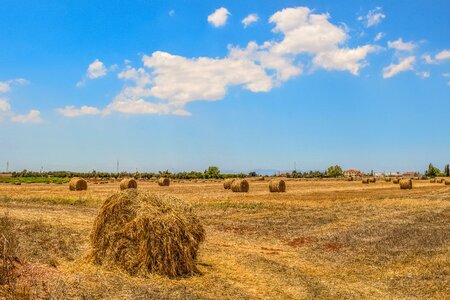Agriculture rural farmland