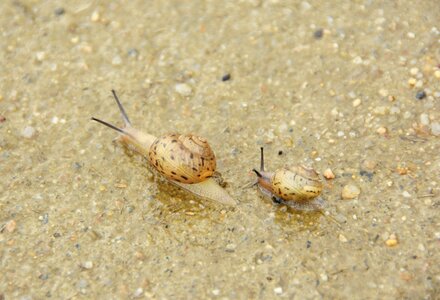 Slow nature korea