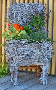 Flowers garden spring