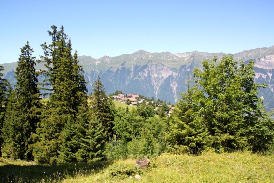 Mountains summer landscape