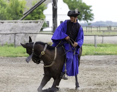 Traditional horseman rolling horse skill