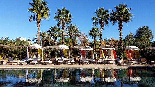 Marrakech swimming pool resort photo
