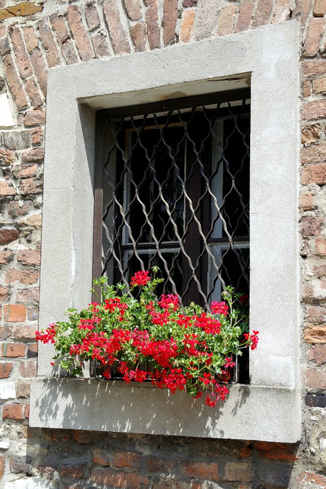 Flowers wall decorative