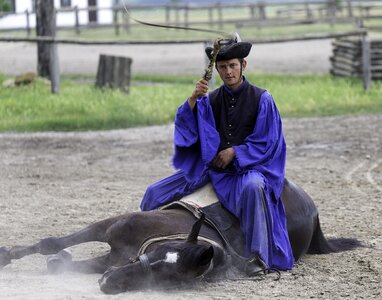 Prone horse seated horseman stock whip