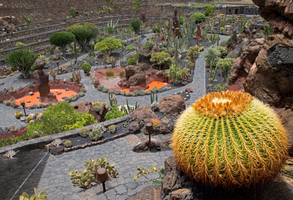 Spain africa attractions guatiza