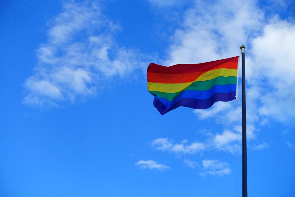 Rainbow love pride rights