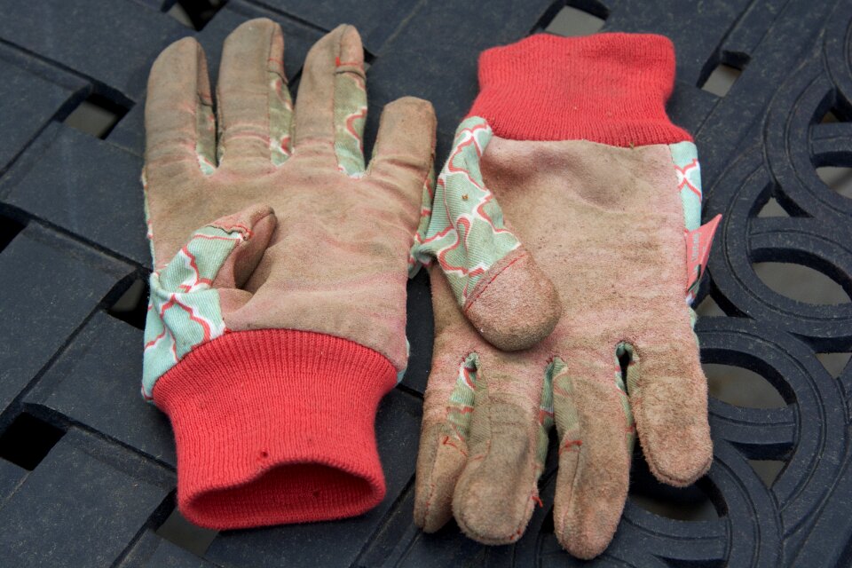 Gardening agriculture work