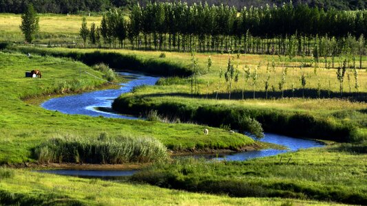 Lombard lake prairie photo