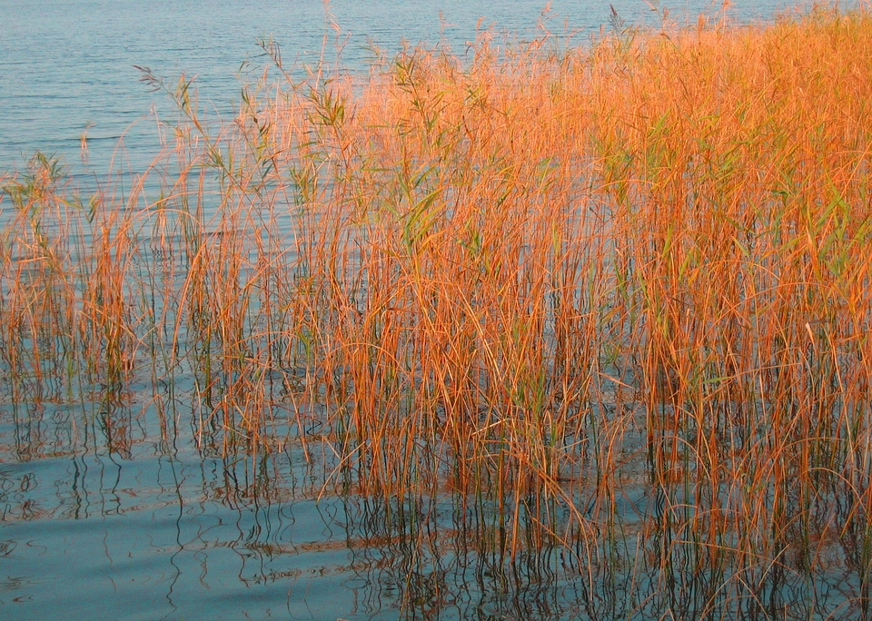 Lake abendstimmung bank