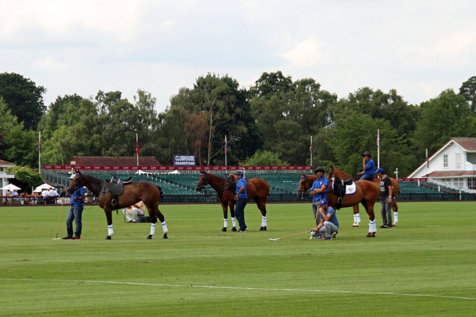 Competition england equestrian
