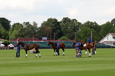 Competition england equestrian